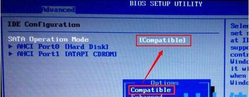 电脑蓝屏故障解决之BIOS中文设置教程（详细讲解BIOS中文设置步骤，助你解决电脑蓝屏问题）