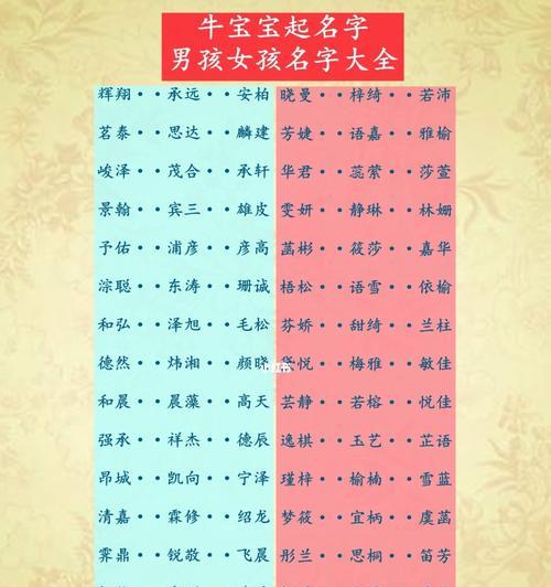 王铭鑫（探索成功之路，敢于挑战困难）