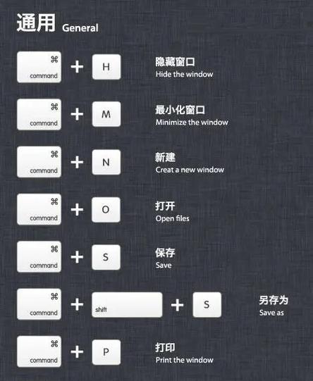 全面了解如何使用新购的苹果电脑（从入门到精通，一步步掌握苹果电脑的使用技巧）