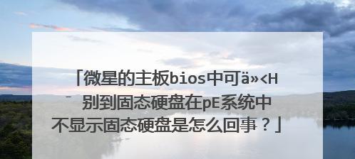 固态硬盘PE使用教程（从入门到精通，轻松掌握固态硬盘PE的使用技巧）