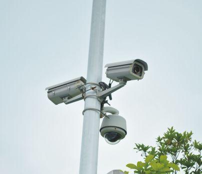 以一路行电子狗怎么样？（性能评测、用户体验、使用技巧）