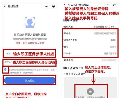 云南税务交医保软件教程（轻松学会使用云南税务交医保软件）