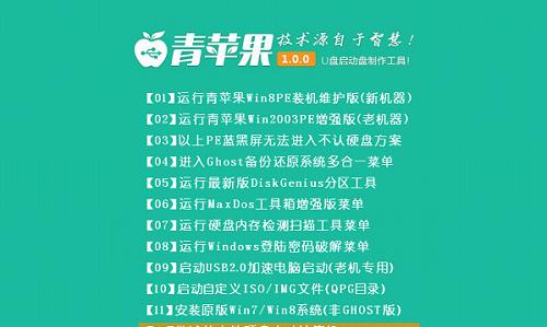 苹果笔记本U盘安装系统的完全指南（详细教程帮你轻松实现Mac系统安装）