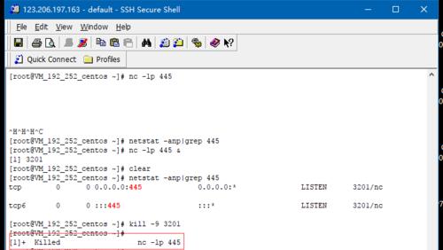 如何关闭Windows的445端口命令？（学习如何使用命令关闭Windows操作系统的445端口）