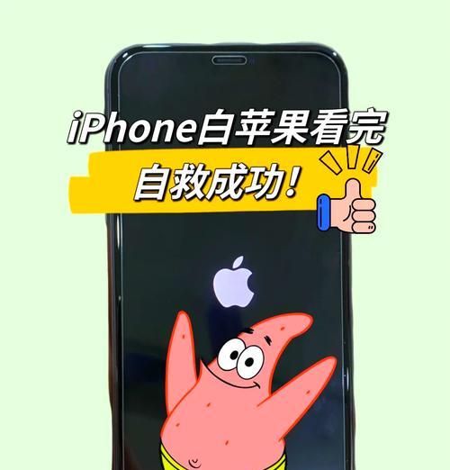 掌握白苹果手机的控制技巧（轻松操作白苹果手机，提升使用体验）